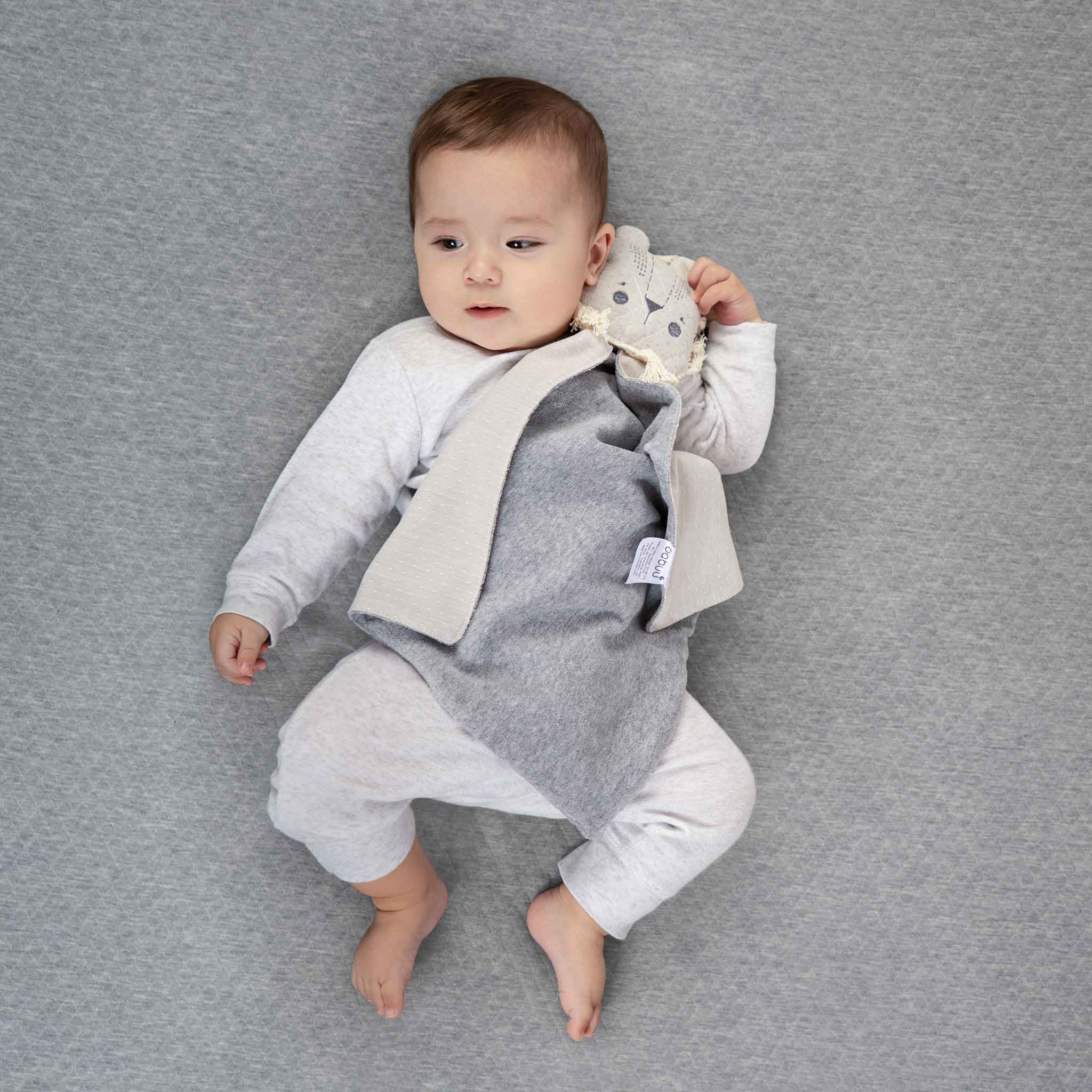 Trapo León - Image 2