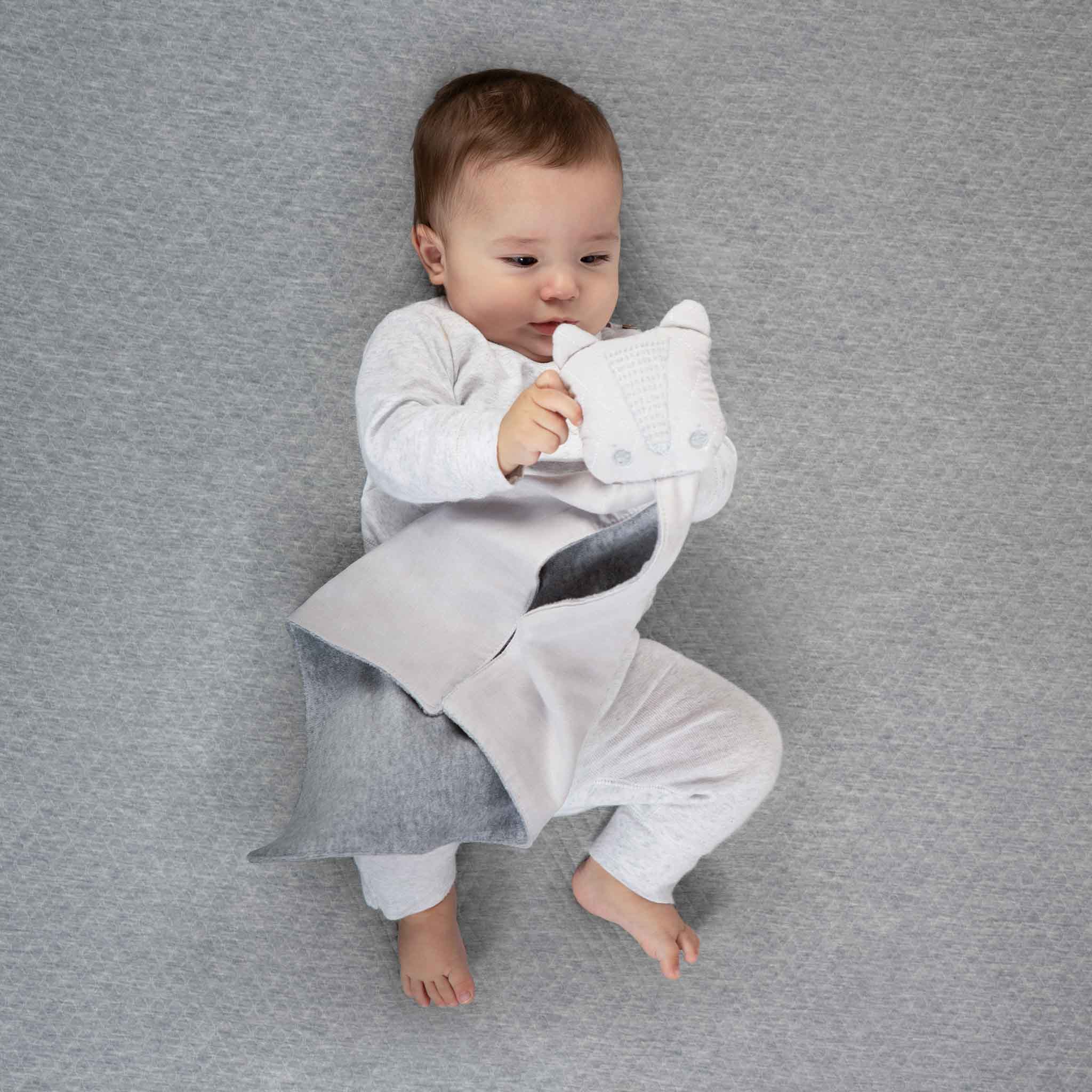 Trapo Zorro - Image 2