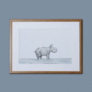 Cuadro Rinoceronte