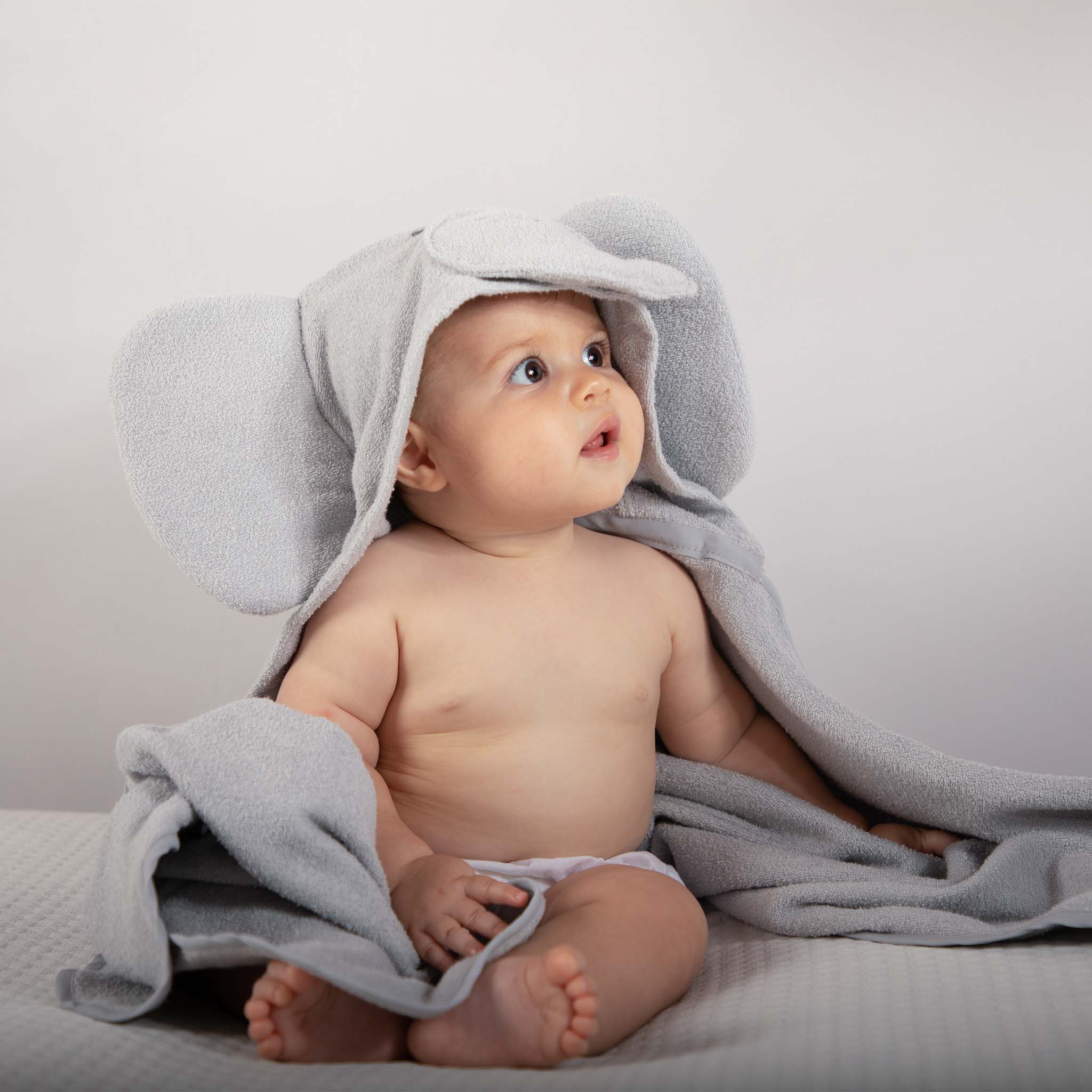 Toalla Elefante Gris