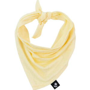Bandanas para mascotas