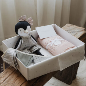 Box Emma Pingüino, Frazada y Guirnalda