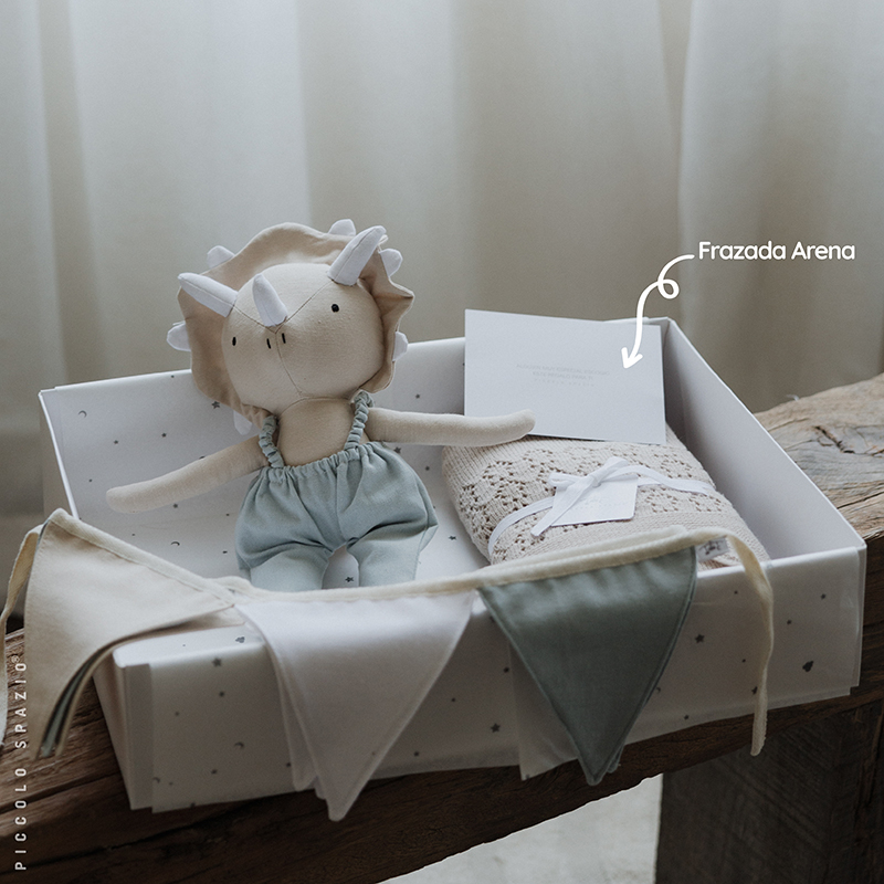 Box Mateo Triceratops, Frazada y Guirnalda - Image 4