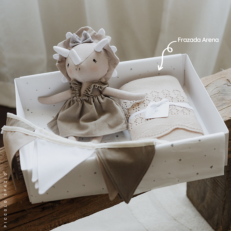 Box Fer Triceratops, Frazada y Guirnalda - Image 3