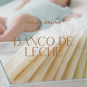 Taller de Banco de Leche